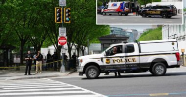 Secret Service officer injured after âphysical altercationâ with White House barrier jumperÂ 